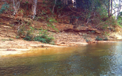 Rio Cañita  her fangede jeg Geophagus Crassilabris